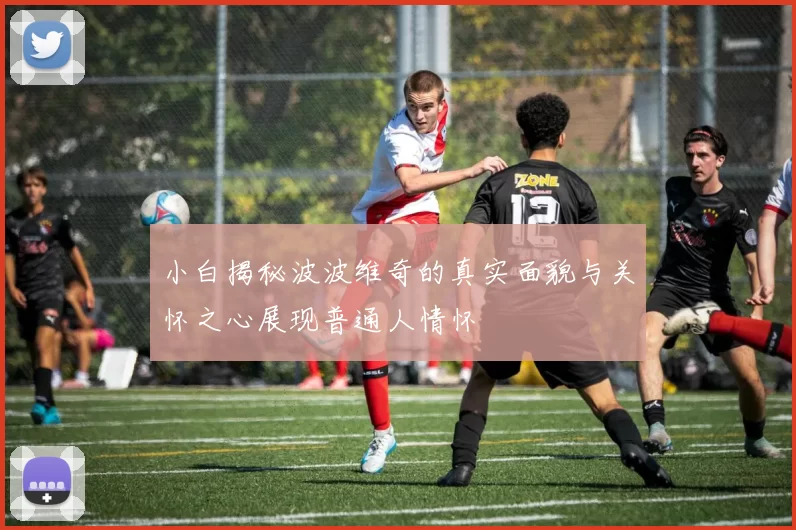 小白揭秘波波维奇的真实面貌与关怀之心展现普通人情怀